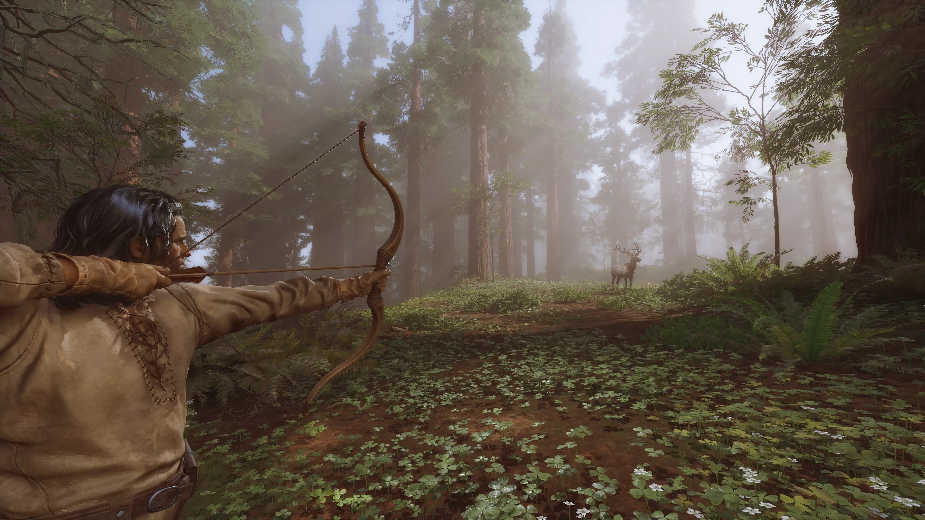 A redwood forest with light breaking through the canopy.